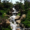 Japanese Garden - Sepulveda Basin : 