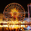 California Adventure at Night : 