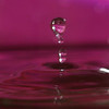 Water Droplets : 